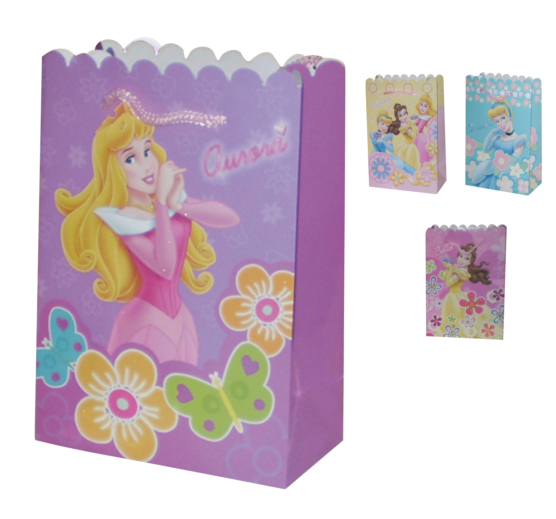 BUSTA PRIN./CAR. 24.5X12.5X33.5 31803 S5