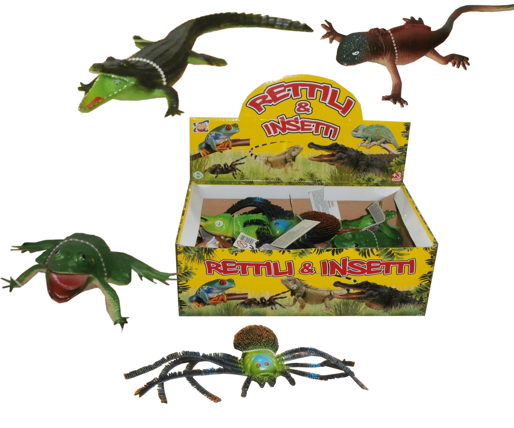 ESP. RETTILI INSETTI GV-3714 CT60