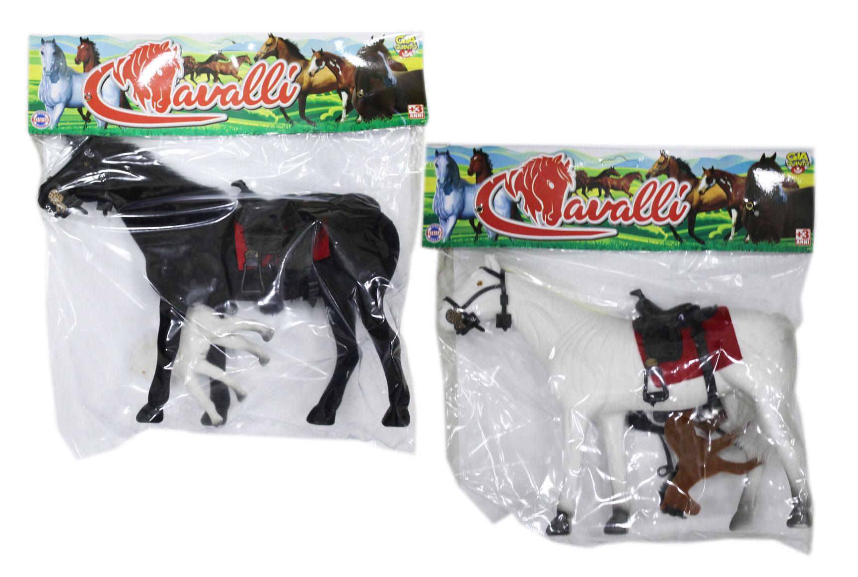 CAVALLI GVC-1267 CT12