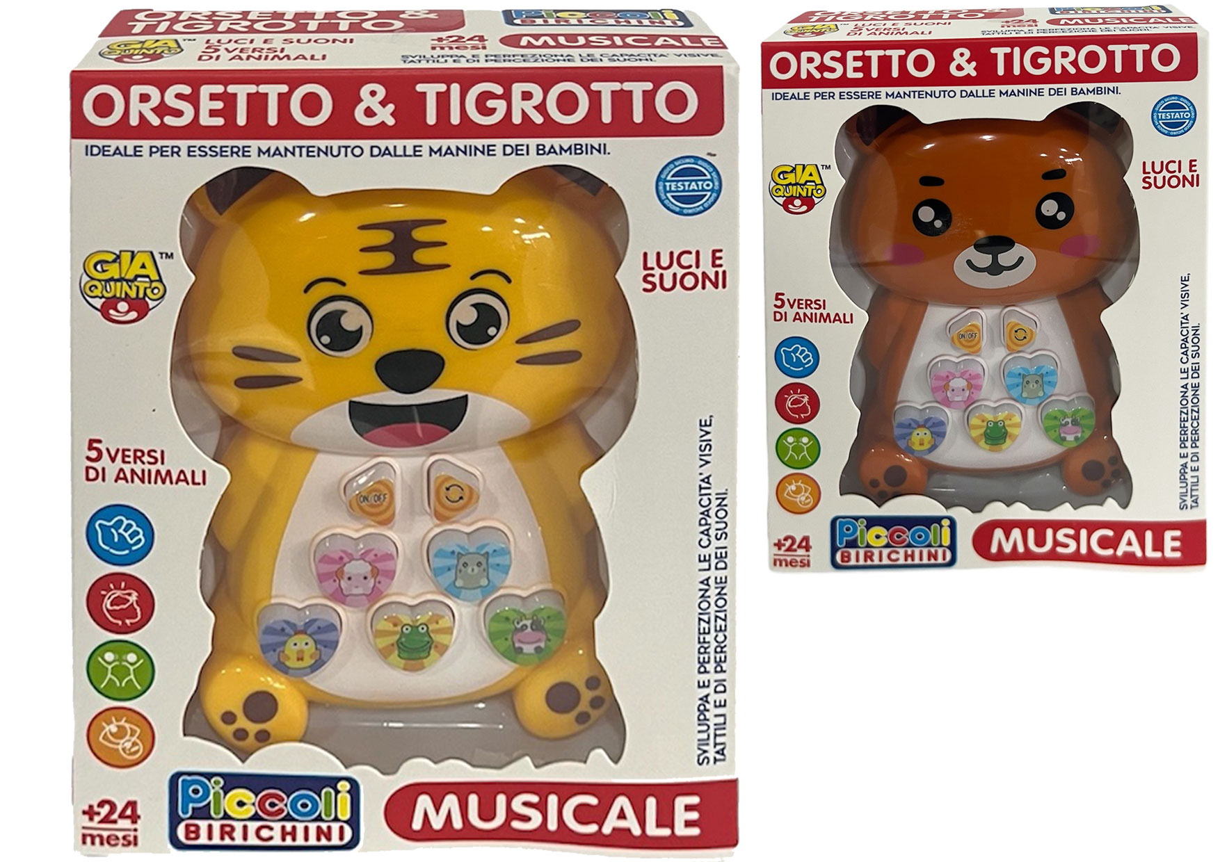 PB ORSETTO GVC-9739 CT12